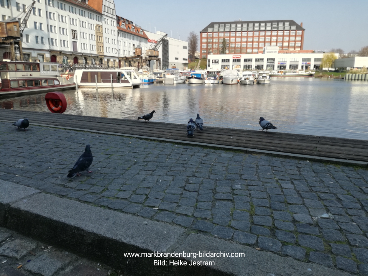 Tempelhofer Hafen 202003 007